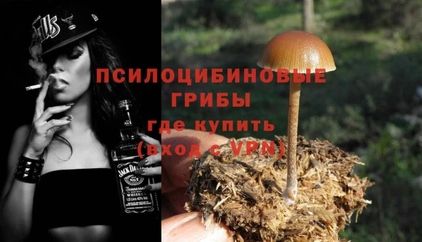 мет Белокуриха